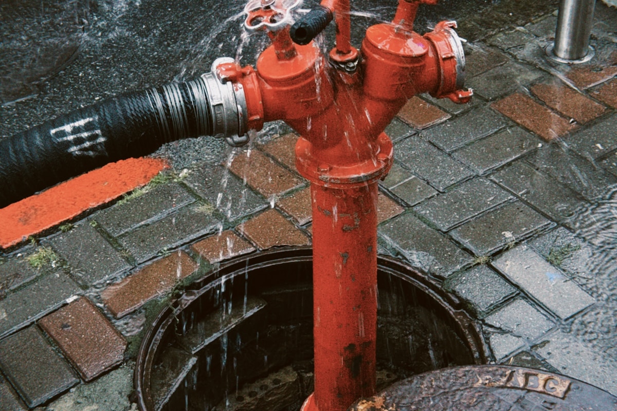 Mold Remediation service in Bozeman, MT